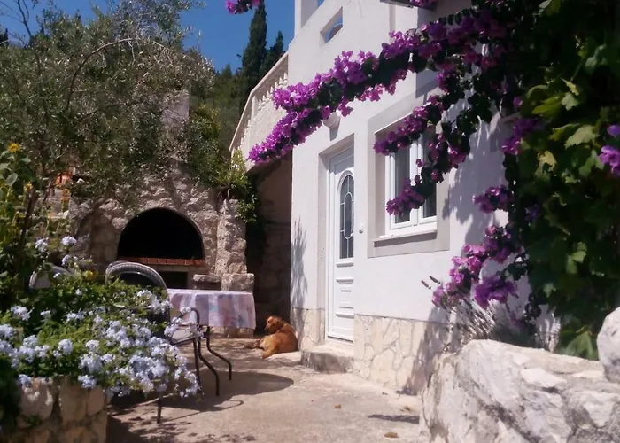 Apartments Rosa