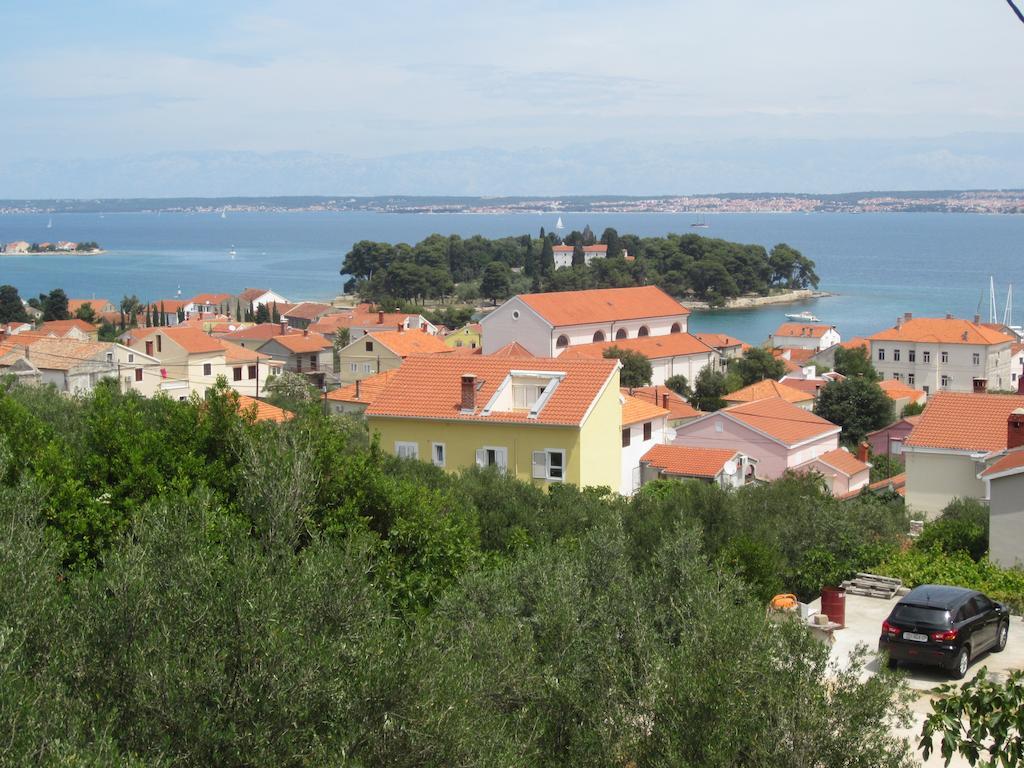 Rosa Preko