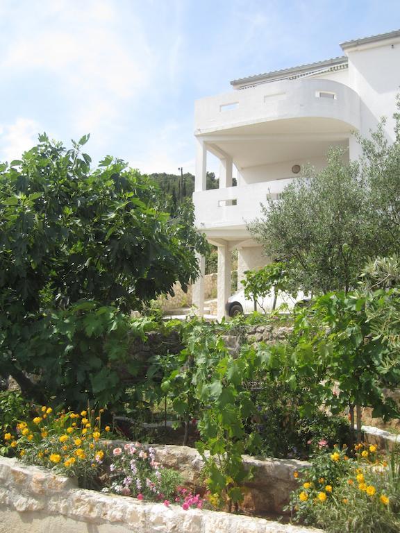Apartmán Rosa *