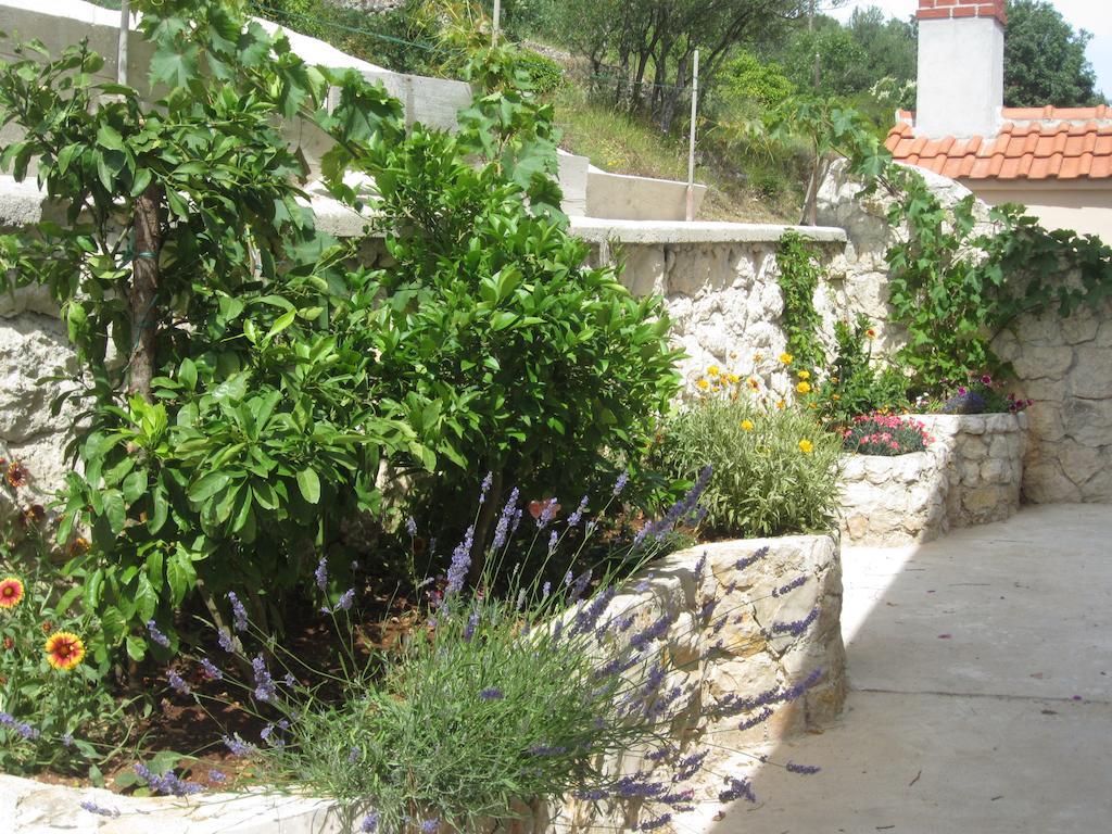 Apartmán Rosa *