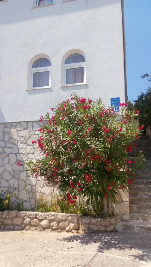 Apartmán Rosa *